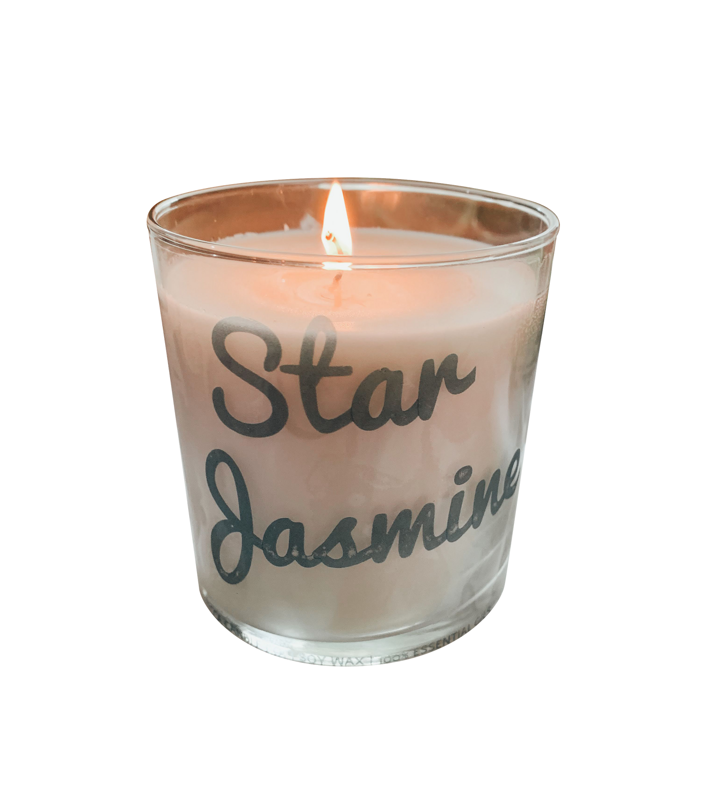 Star Jasmine
